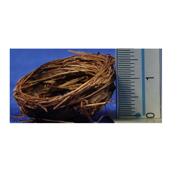 Nido 2,5 cm mimbre