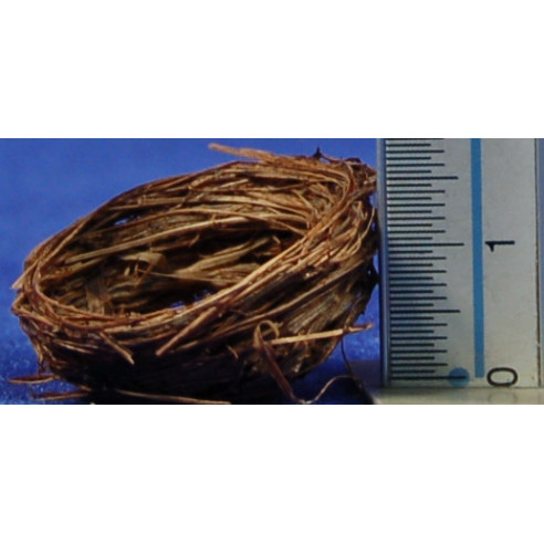 Chest 2 ,5cm wicker