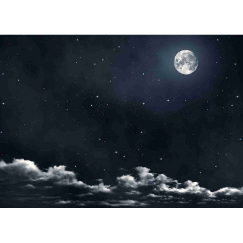 Sfondo cielo notturno con luna 100x70 cm carta