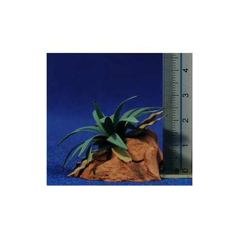 Agave 3,5 cm metallo