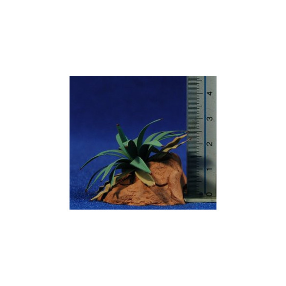 Agave 3,5 cm metallo