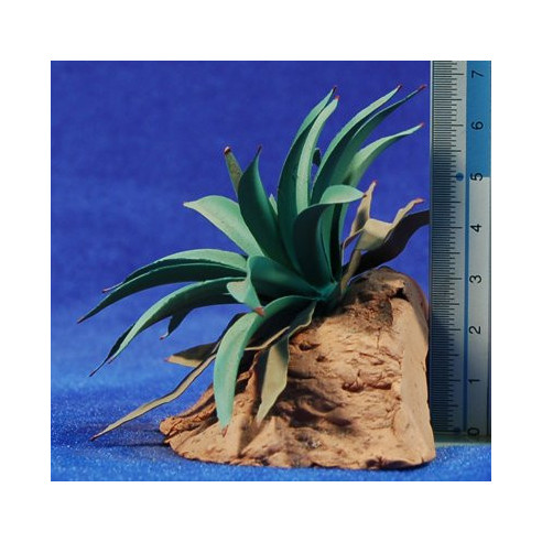 Agave 6,5 cm metallo