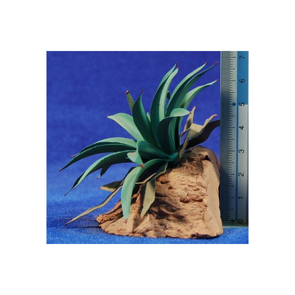 Agave 6,5 cm metallo