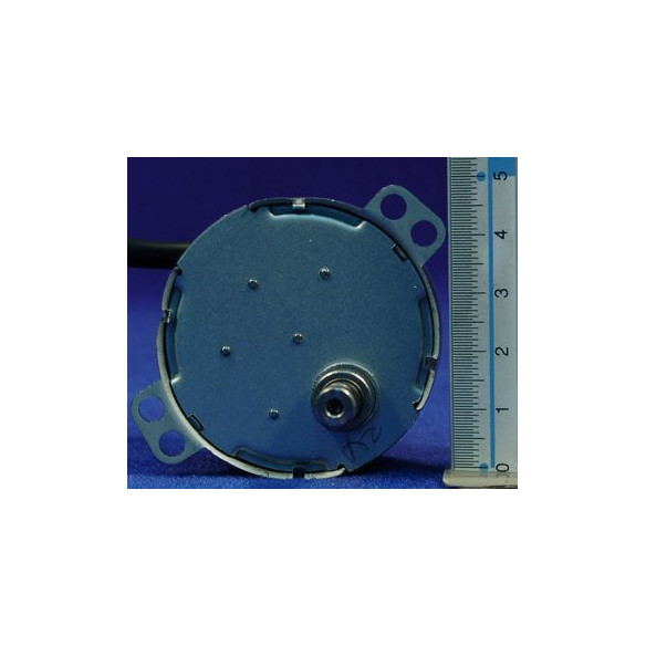 Motor 10 RPM - 220V metal