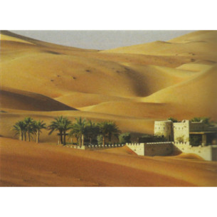 Paperwall desert and palms 70x50 cm paper
