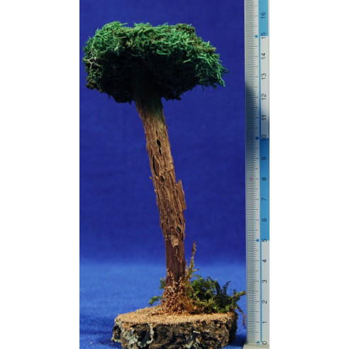 Pi 14 cm molsa