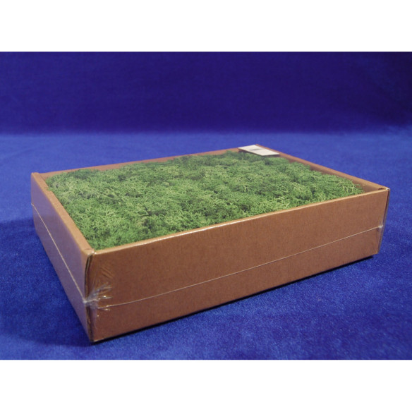 Muschio polare verde chiaro 250 gr