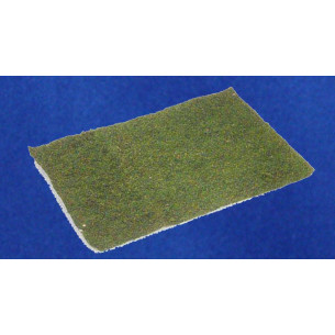 Planxa de molsa 60x45 cm