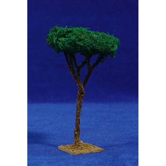 Pi 13 cm molsa polar