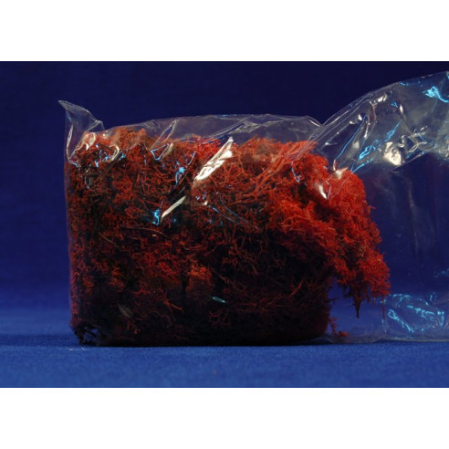 Muschio rosso 80 gr
