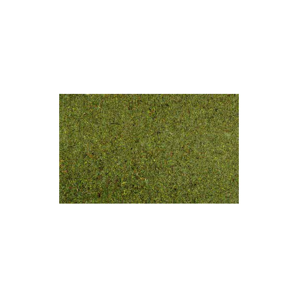 Tapíz de musgo 70x50 cm