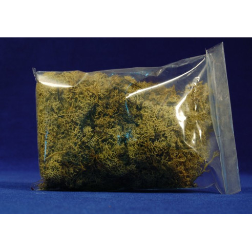 Moss yellow 80 gr