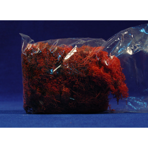 Musgo roja 80 gr