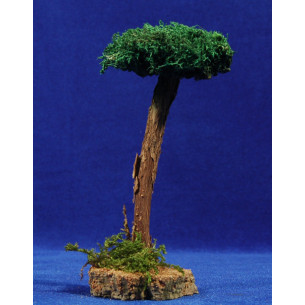 Pine 14 cm moss