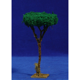 Pino 16 cm musgo polar