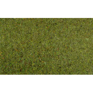 Moss superficie 70x50 cm