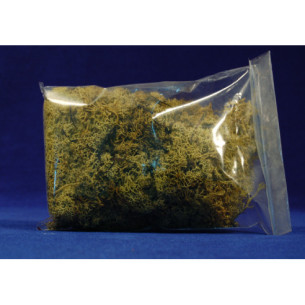 Moss yellow 80 gr