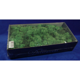 Muschio polare verde 450gr