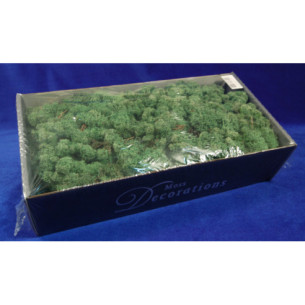 Finland moss dark green 450gr