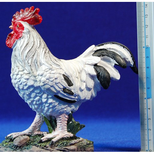 Gall blanc 40 cm resina