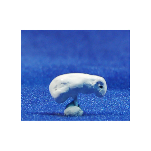 Be 1 cm fang pintat Aurora