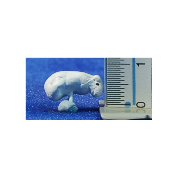 Cordero 1 cm barro pintado Aurora