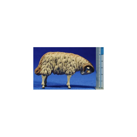 Boc 15 cm fang pintat