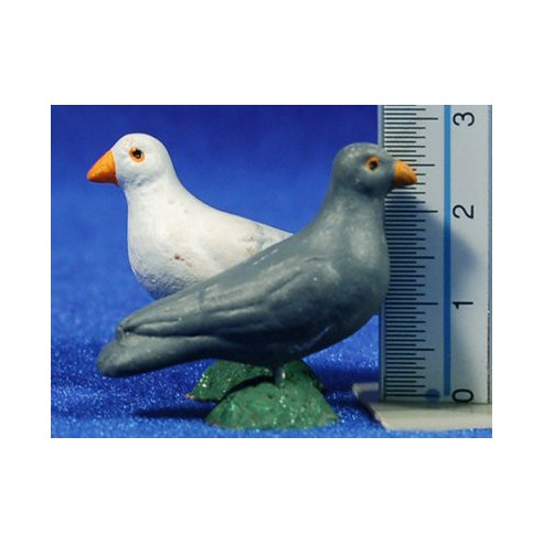 Colom 15 cm fang pintat