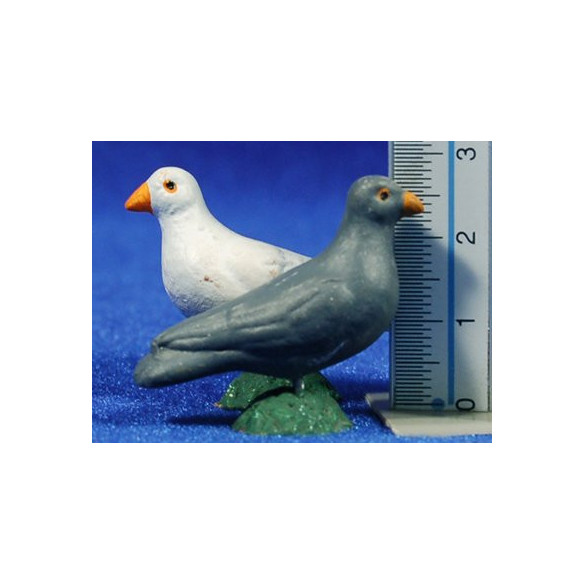 Colom 15 cm fang pintat