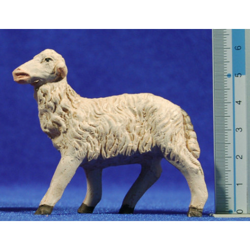 Be 12 cm fang pintat