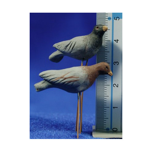 Pigeon 16 cm clay painted Perez