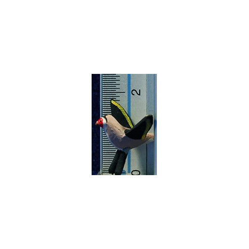 Goldfinch winged 9 cm clay painted AB