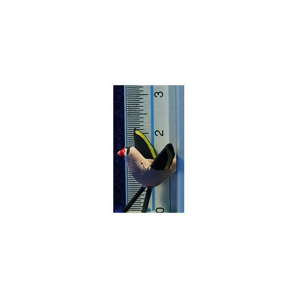 Jilguero vuela 12 cm barro pintado AB