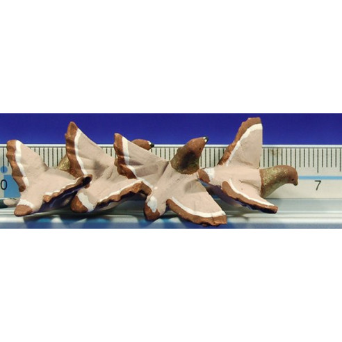 Gruppo cuattro colombe marroni vuolano 12 cm terracotta dipinte AB