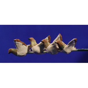 Group four brown pigeon winged 12 cm clay painted AB