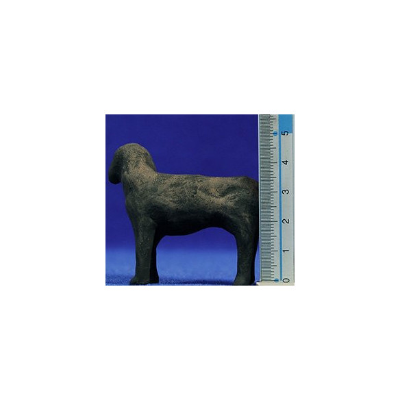 Gos negre 12 cm fang pintat AB