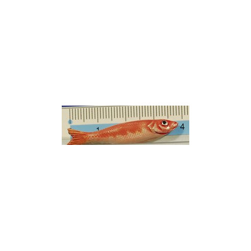 Pez rosado 4 cm barro pintado