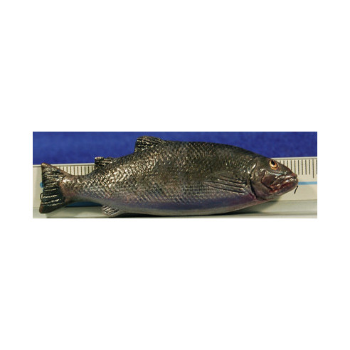 Pez plateado 7 cm barro pintado
