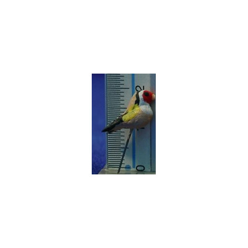 Goldfinch 10 cm clay