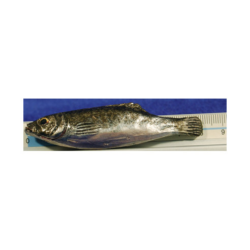 Pez plateado 8 cm barro pintado