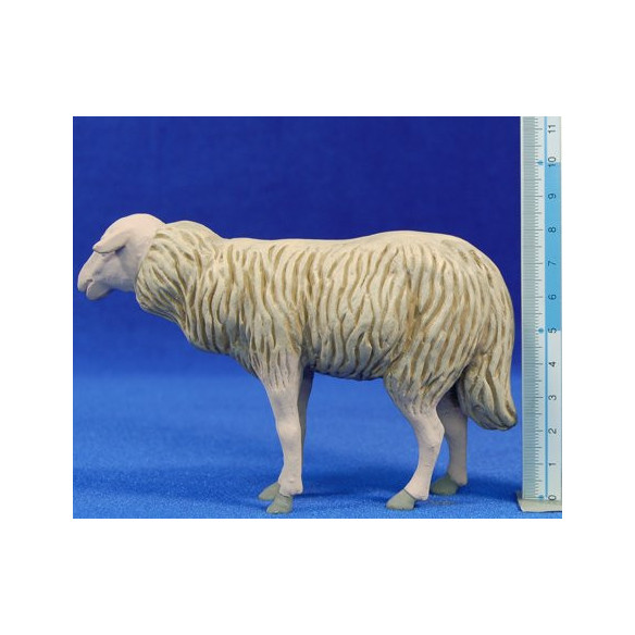 Be 20 cm fang pintat