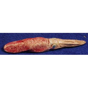 Calamar 6,5 cm barro pintado