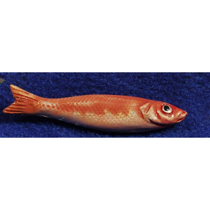 Fish pinked 4 cm clay painted