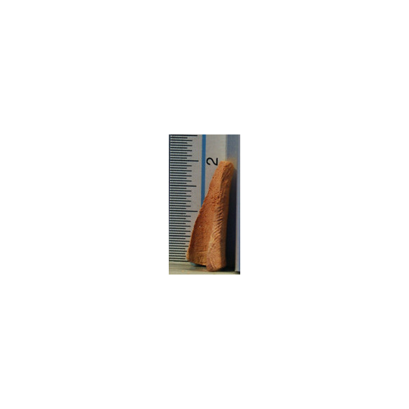 Teja 2 cm terracota