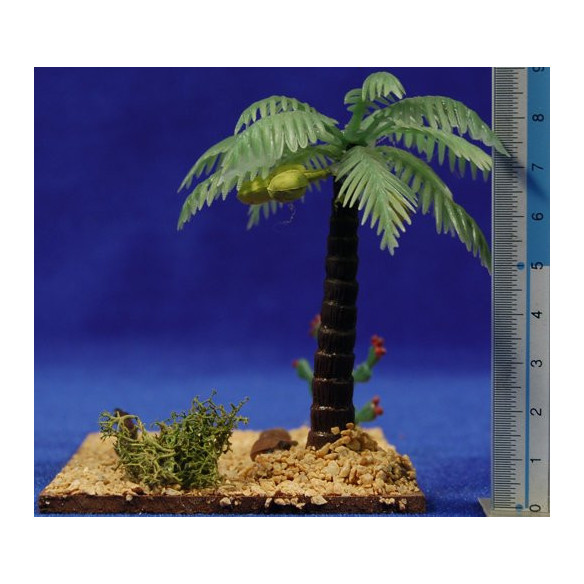 Oasis 8 cm plàstic