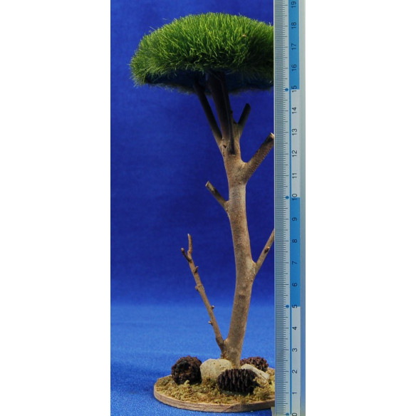Pine 18 cm plastic Belenes Puig
