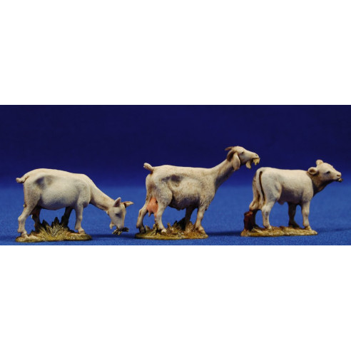 Group of 3 ghoats eating 10 cm plastic Moranduzzo - Landi