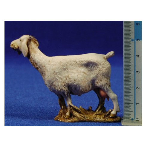 Group of 3 ghoats eating 10 cm plastic Moranduzzo - Landi