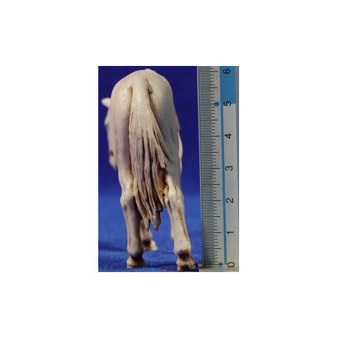 Horse 10 cm plastic Moranduzzo - Landi