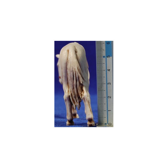 Horse 10 cm plastic Moranduzzo - Landi